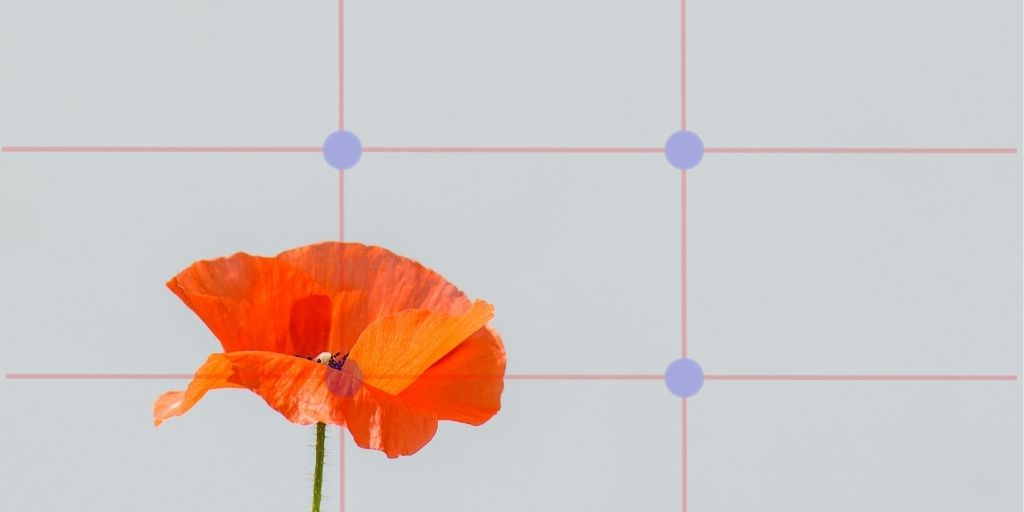 24 Composition Techniques In Photography To Improve Your Photos