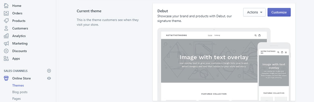 Choose Theme in Shopify